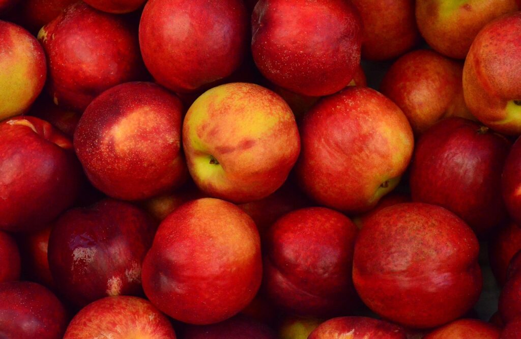 Натуральные соединения яблока поддерживают нейрогенез и могут улучшить работу мозга